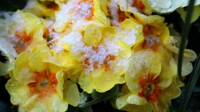 Kalt, Ostern, kälter