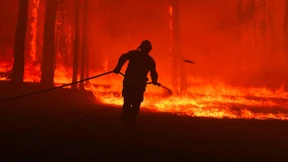 Waldbrände weiten sich aus
