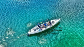 „Wir schmecken Haien nicht“