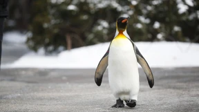 Schlanke Linie gibt Halt