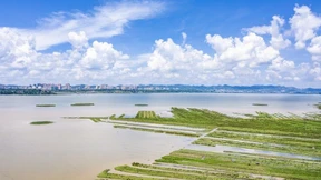 China geht bei Verfolgung einer grünen Zukunft voran