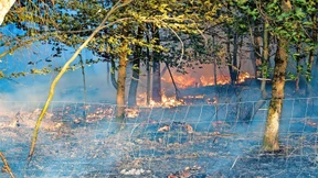 Die Lust am Zündeln