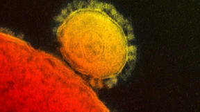 Die arabische Epidemie