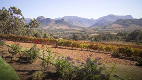 Südafrika bestellt amerikanischen Diplomaten ein