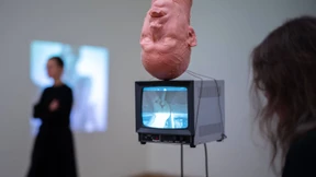 Tiere und Sexual Power