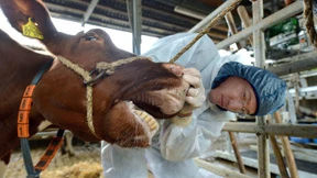 Deutschland will mit Impfstoff-Herstellung beginnen