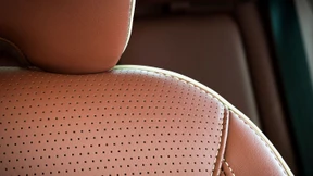 Was uns bewegt - Teil 4: Leder