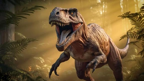 Streit um Tyrannosaurus rex