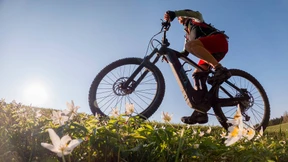 Pedelecs haben Rückenwind