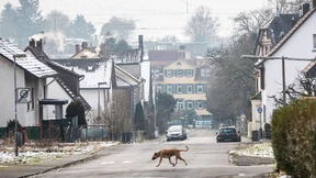 Mittelhessischer Kreis ohne neuen Corona-Fall über Nacht