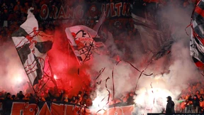 Schwarze Schafe in Orange