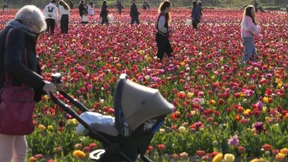 Warum kommen immer weniger Kinder auf die Welt?