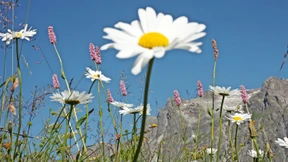 Dass die sich das leisten können