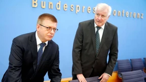 Versteckt im braunen Sumpf