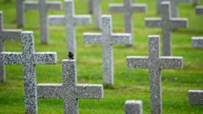 Radikale Fehleinschätzungen