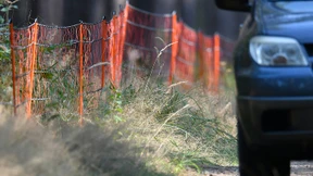 Schweinepest-Schutzmaßnahmen laufen auf Hochtouren