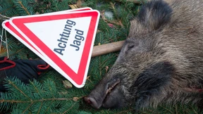 Ministerin Hinz bläst zur Jagd auf Wildschweine