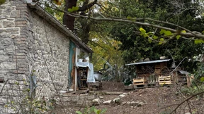 Wie geht es mit der „Waldfamilie“ aus Italien weiter?