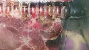 Das jäh geweitete Auge