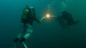 Die Fackel geht baden