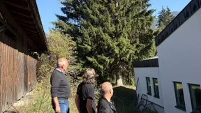 Der Frankfurter Weihnachtsbaum heißt Nikolaus
