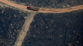 Kritik der Politischen Ökonomie der Natur