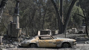 Feuer zerstören tausende Häuser