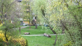 Frankfurter Todesschütze in U-Haft