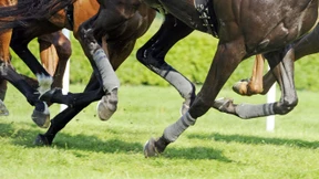 „Eine hübsche, kleine Stute“, die es in sich hat