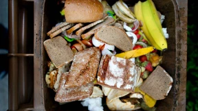 Brot ins Gefrierfach – und 9 weitere Tipps gegen Verschwendung