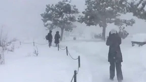 Schneesturm wütet über Grand Canyon
