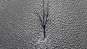 Gesellschaft im Klimawandel