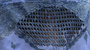 Die Grenzen der Toleranz