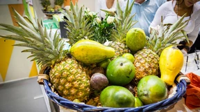 Am Anfang war die Ananas