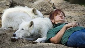 Generationswechsel in Hanaus bekanntestem Wolfsrudel