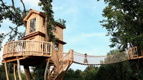 So finden Sie das perfekte Baumhaus