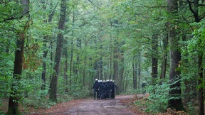 Polizei bestreitet Entdeckung von Tunnelsystemen