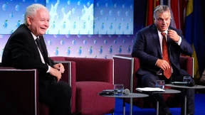 Pferde stehlen im eigenen Stall 