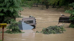 Aufregung um Raubtiere im Eifel-Zoo