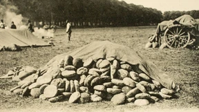 Die Schweine dienen dem Feind