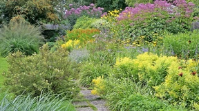Nachahmung erwünscht: Gärtnern wie Mien Ruys
