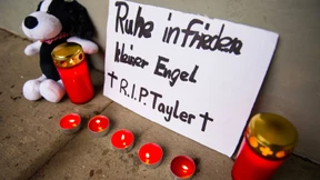 Heftige Kritik an Hamburger Behörden