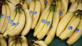 Chiquita muss 38 Millionen US-Dollar Strafe zahlen
