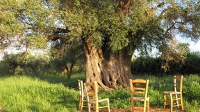  Anspruchslos und robust