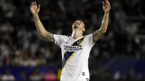 Tolle Hechte und dicke Doraden