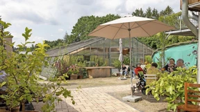 Von Zinnien und Grünen Zebras