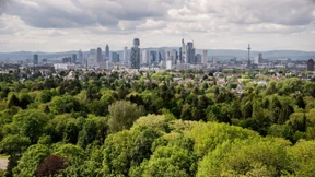 Wie die Frankfurter Skyline ergrünt