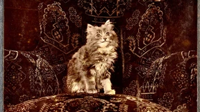 Das Urchs als besserer Mensch