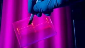  Chemie-Nobelpreis für Erbgut-Forscher