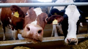 Verbraucher haben die Wahl